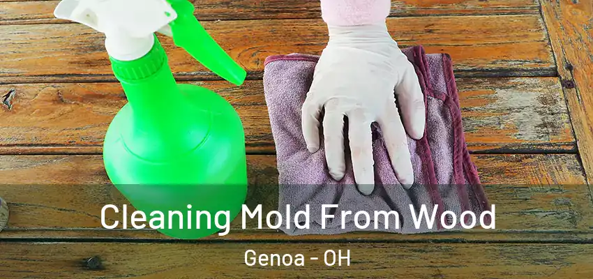  Cleaning Mold From Wood Genoa - OH