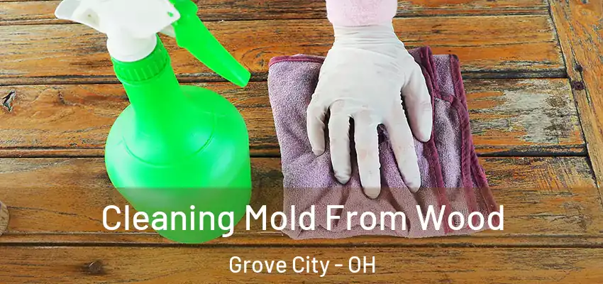  Cleaning Mold From Wood Grove City - OH