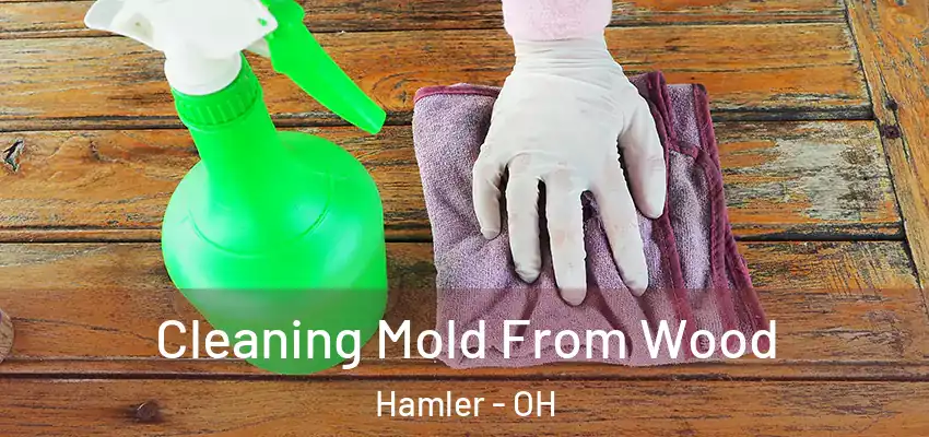 Cleaning Mold From Wood Hamler - OH