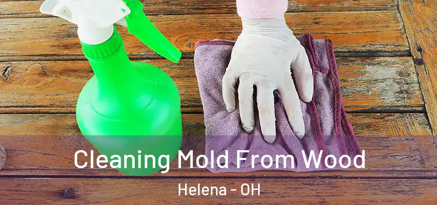  Cleaning Mold From Wood Helena - OH
