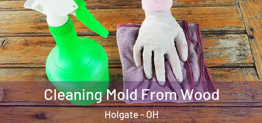 Cleaning Mold From Wood Holgate - OH