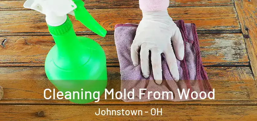  Cleaning Mold From Wood Johnstown - OH