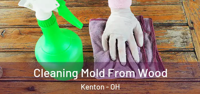 Cleaning Mold From Wood Kenton - OH
