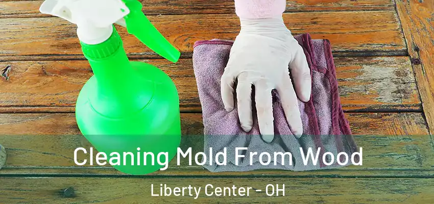  Cleaning Mold From Wood Liberty Center - OH