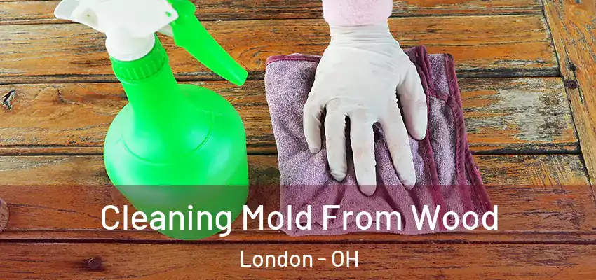 Cleaning Mold From Wood London - OH