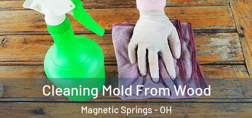  Cleaning Mold From Wood Magnetic Springs - OH