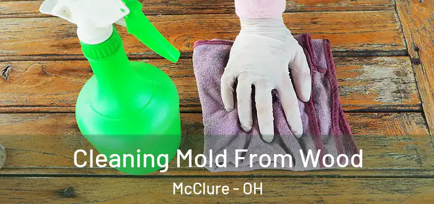  Cleaning Mold From Wood McClure - OH