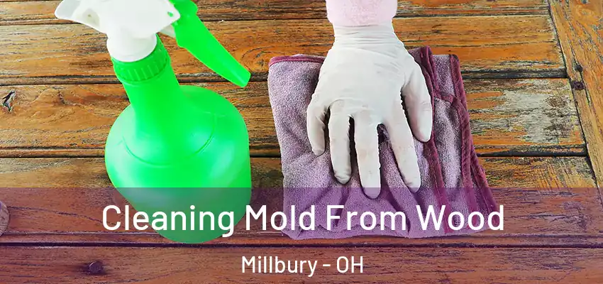 Cleaning Mold From Wood Millbury - OH