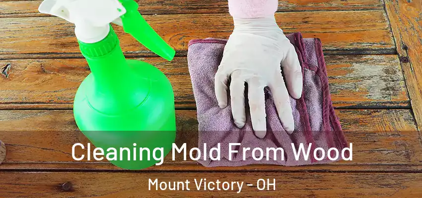  Cleaning Mold From Wood Mount Victory - OH