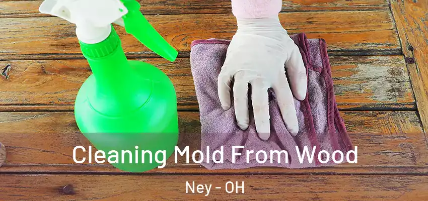  Cleaning Mold From Wood Ney - OH