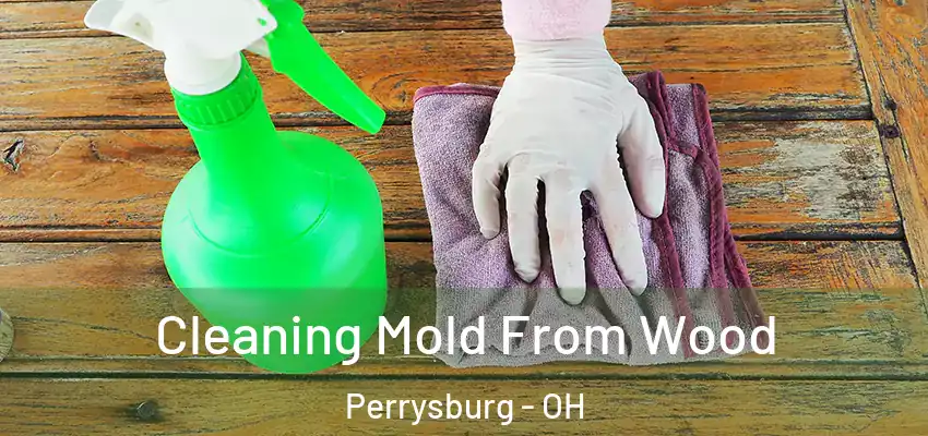 Cleaning Mold From Wood Perrysburg - OH