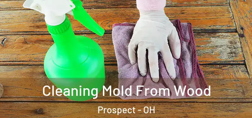  Cleaning Mold From Wood Prospect - OH