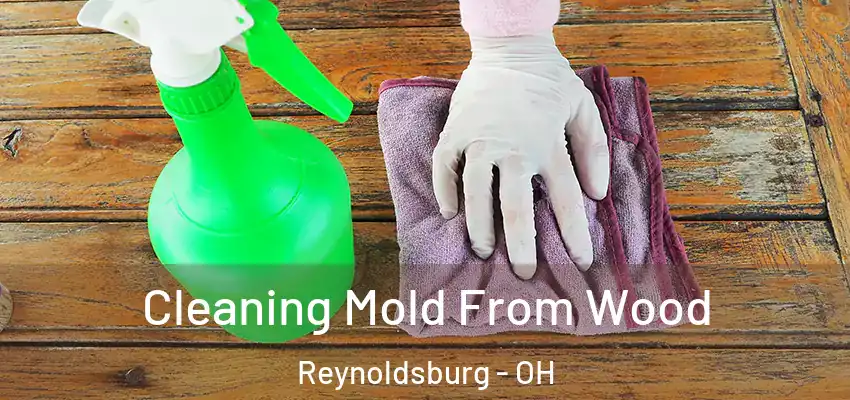  Cleaning Mold From Wood Reynoldsburg - OH