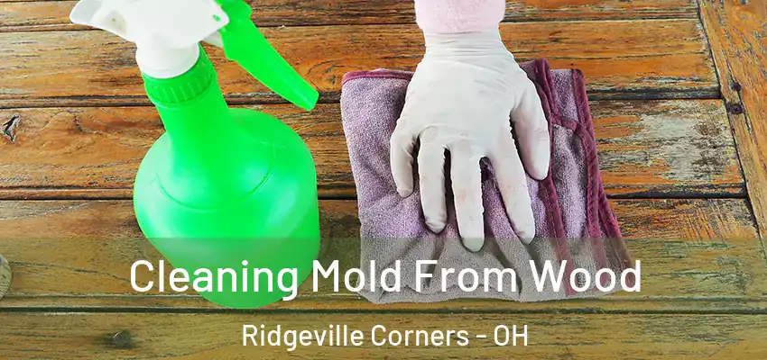  Cleaning Mold From Wood Ridgeville Corners - OH