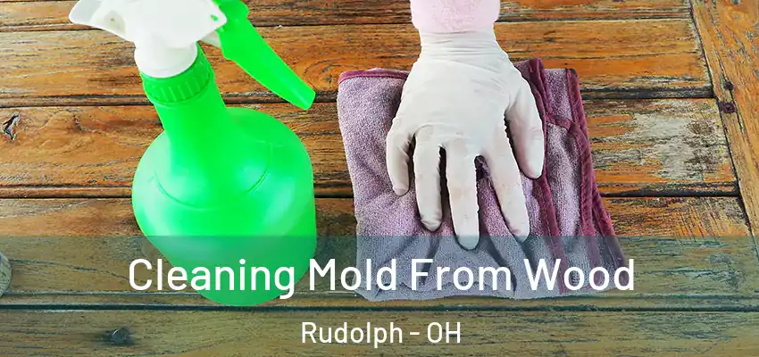 Cleaning Mold From Wood Rudolph - OH