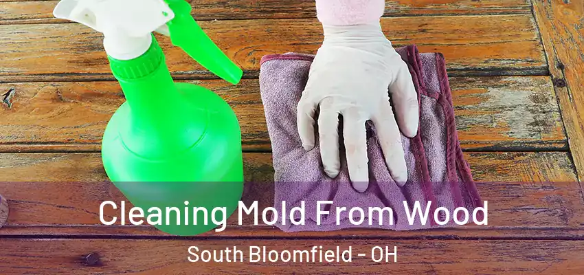  Cleaning Mold From Wood South Bloomfield - OH