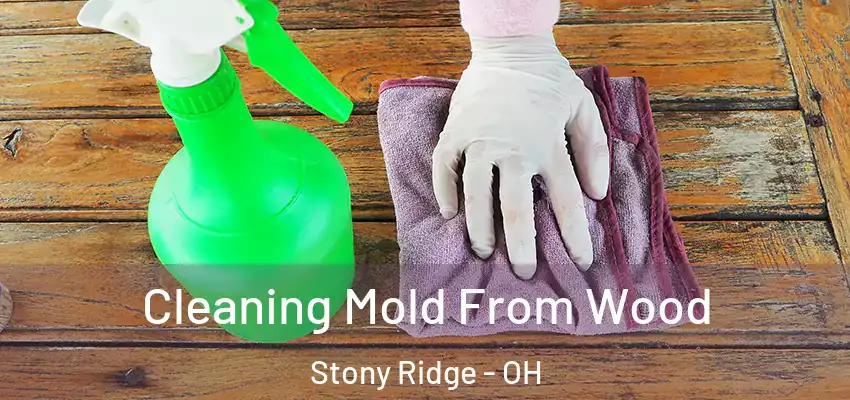  Cleaning Mold From Wood Stony Ridge - OH