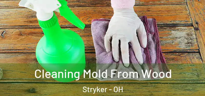 Cleaning Mold From Wood Stryker - OH