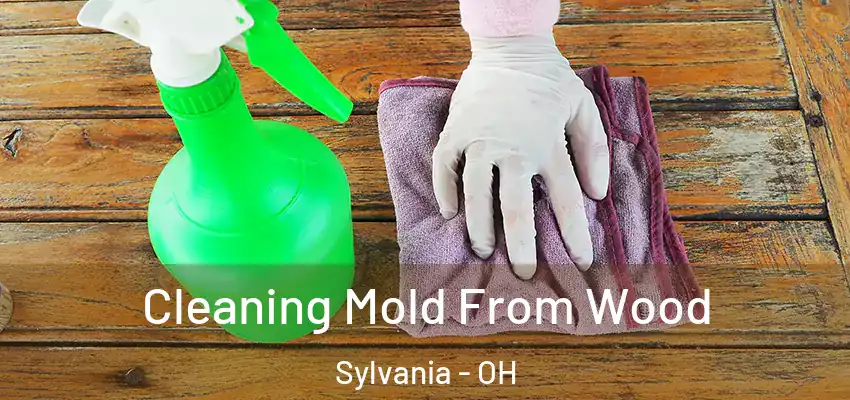  Cleaning Mold From Wood Sylvania - OH