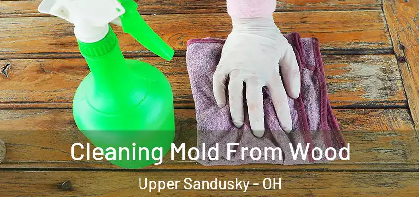  Cleaning Mold From Wood Upper Sandusky - OH