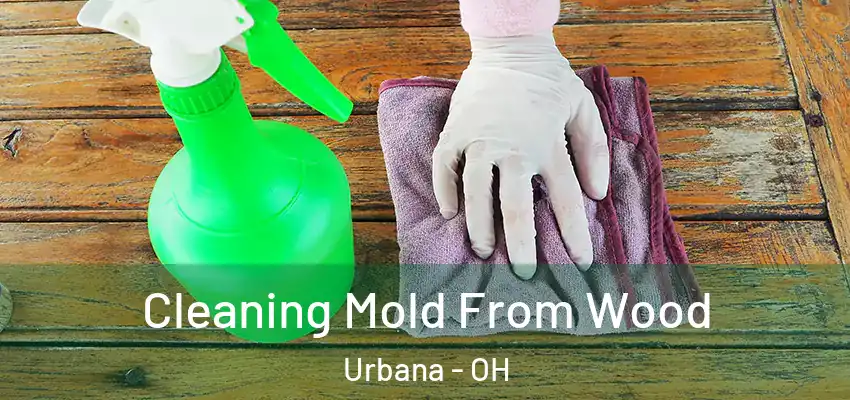 Cleaning Mold From Wood Urbana - OH