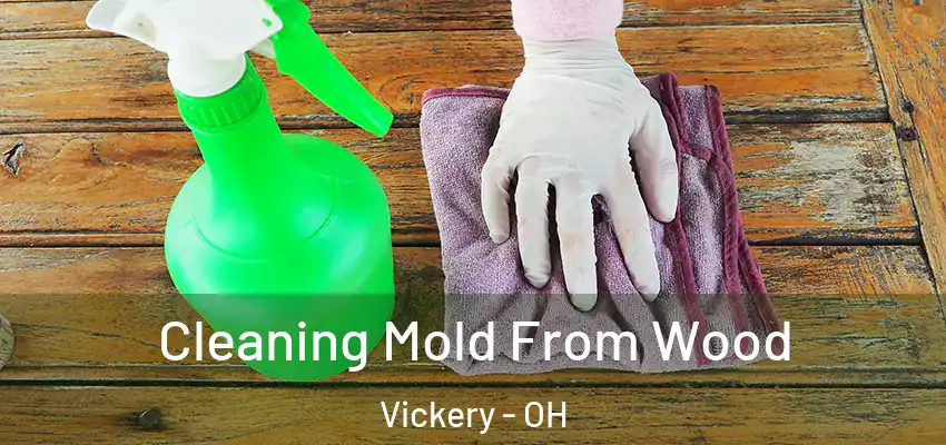 Cleaning Mold From Wood Vickery - OH