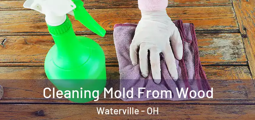 Cleaning Mold From Wood Waterville - OH