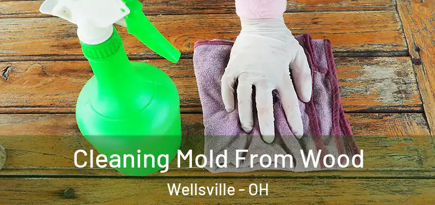  Cleaning Mold From Wood Wellsville - OH