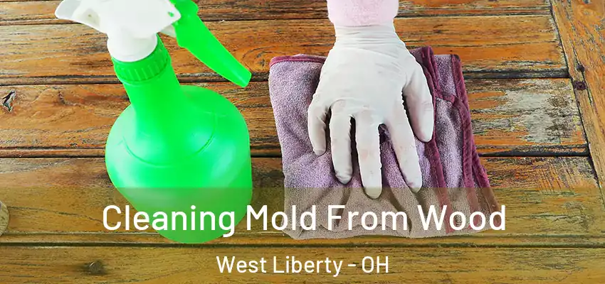  Cleaning Mold From Wood West Liberty - OH