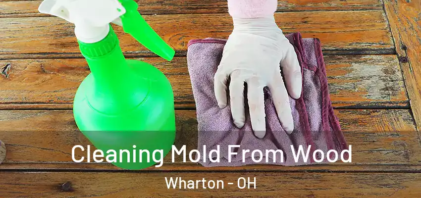 Cleaning Mold From Wood Wharton - OH