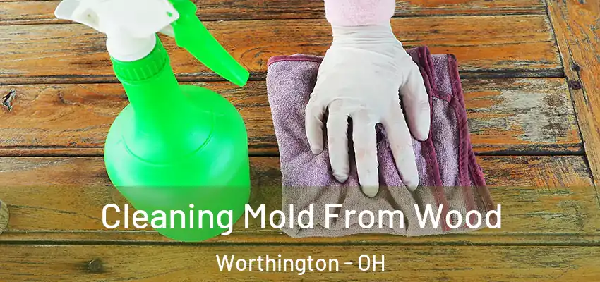 Cleaning Mold From Wood Worthington - OH