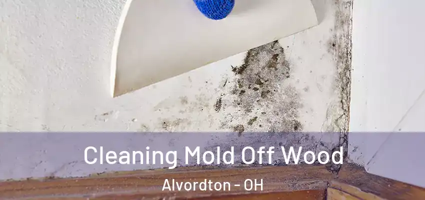 Cleaning Mold Off Wood Alvordton - OH