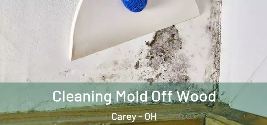  Cleaning Mold Off Wood Carey - OH