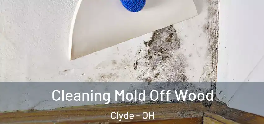  Cleaning Mold Off Wood Clyde - OH