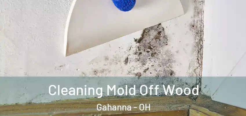Cleaning Mold Off Wood Gahanna - OH