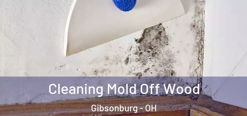Cleaning Mold Off Wood Gibsonburg - OH