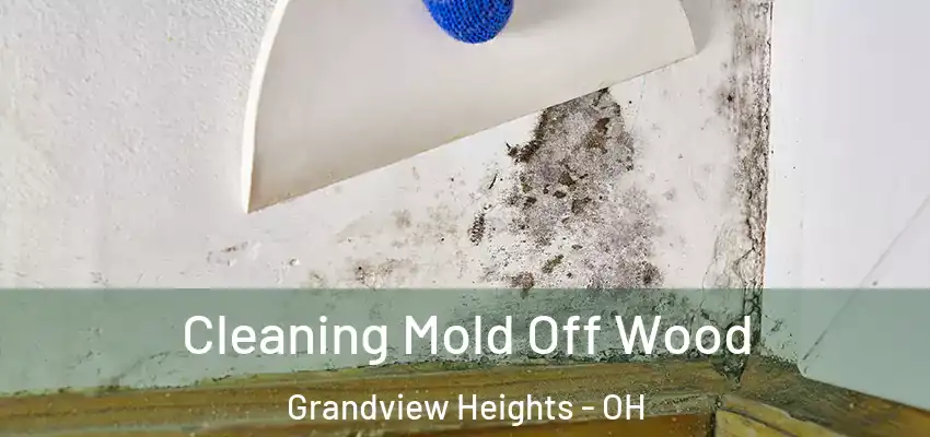 Cleaning Mold Off Wood Grandview Heights - OH