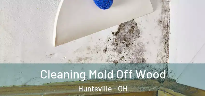  Cleaning Mold Off Wood Huntsville - OH
