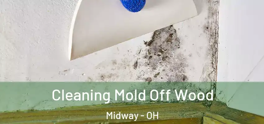  Cleaning Mold Off Wood Midway - OH