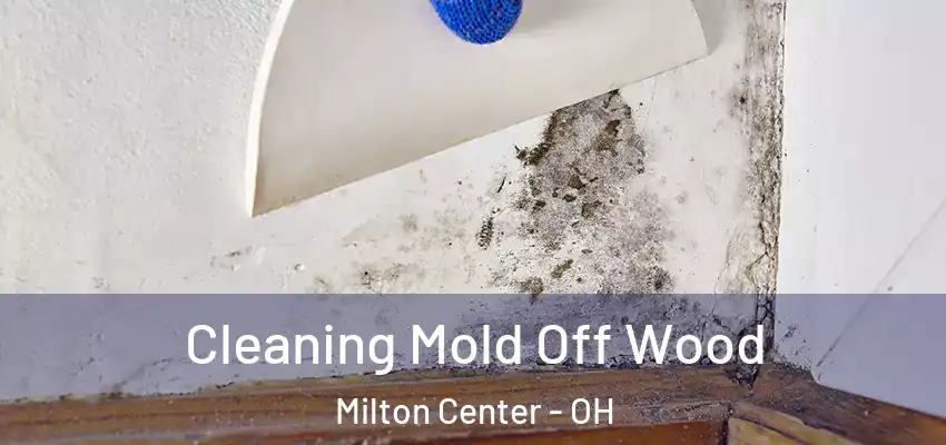  Cleaning Mold Off Wood Milton Center - OH
