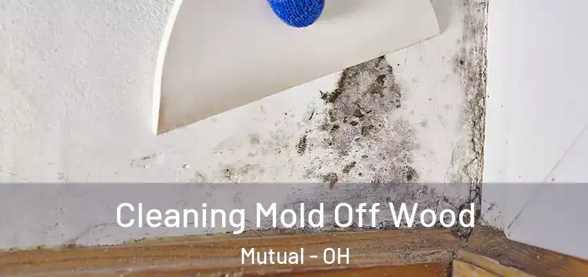  Cleaning Mold Off Wood Mutual - OH