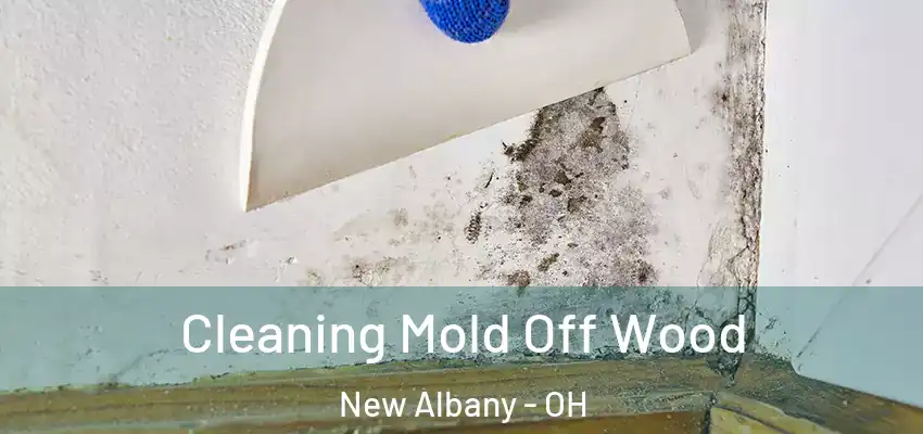 Cleaning Mold Off Wood New Albany - OH