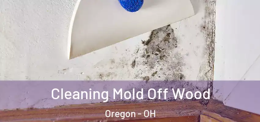 Cleaning Mold Off Wood Oregon - OH