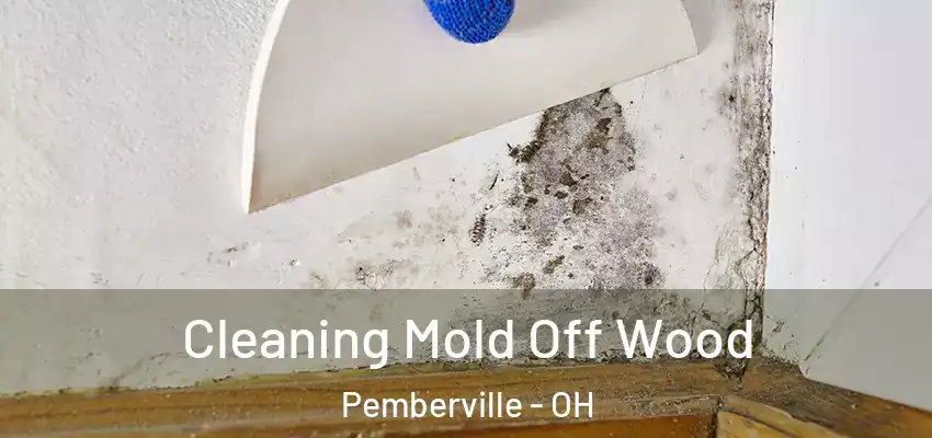 Cleaning Mold Off Wood Pemberville - OH