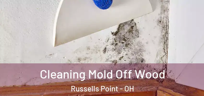  Cleaning Mold Off Wood Russells Point - OH