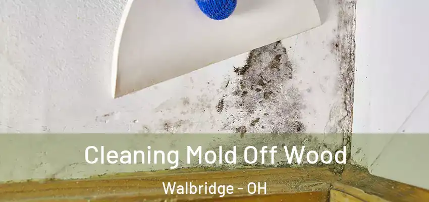  Cleaning Mold Off Wood Walbridge - OH