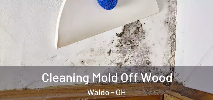 Cleaning Mold Off Wood Waldo - OH