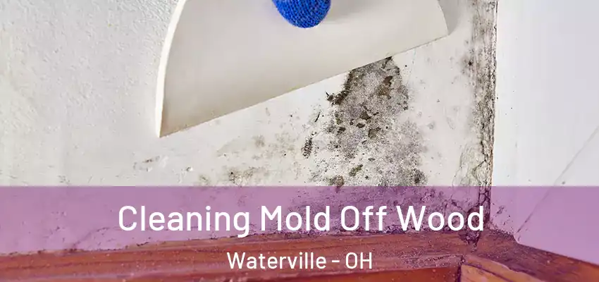 Cleaning Mold Off Wood Waterville - OH