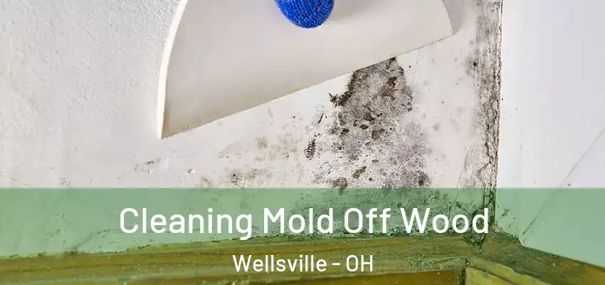  Cleaning Mold Off Wood Wellsville - OH