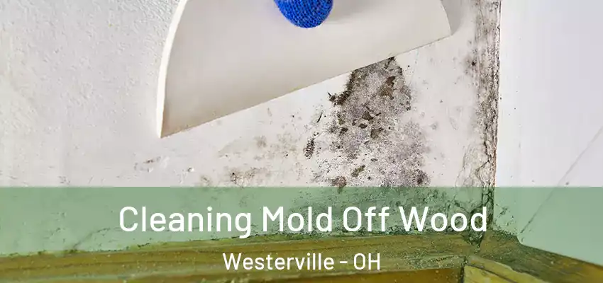  Cleaning Mold Off Wood Westerville - OH